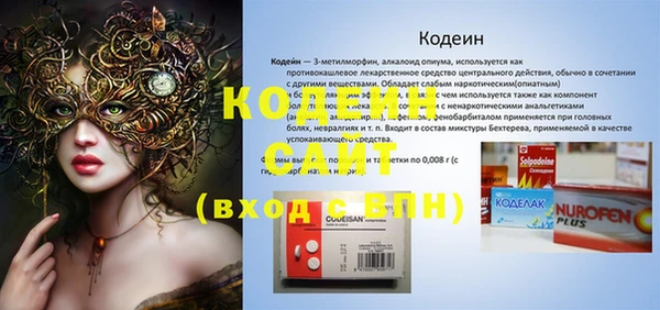 хмурый Арсеньев